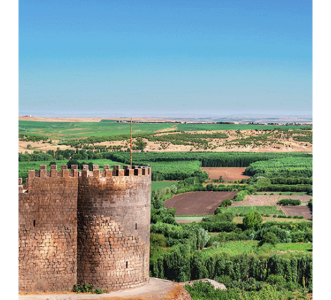 DİYARBAKIR -MARDİN